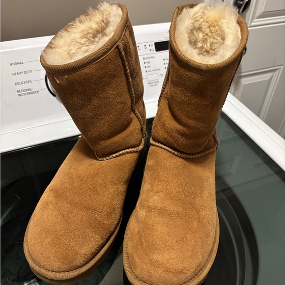UGG Shoes - UGG Classic Short Chestnut Suede Shearling Boots